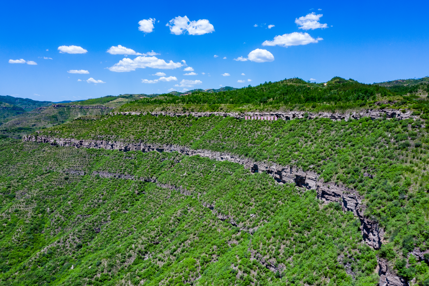 20261026124815817-41-8c0d2.png_scale.png 20261026124815817-41-8c0d2.png_scale.png